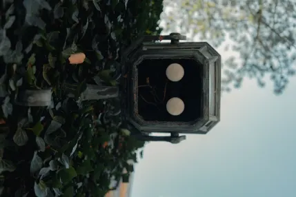 Winmasters Kasyno Aplikacja mobilna